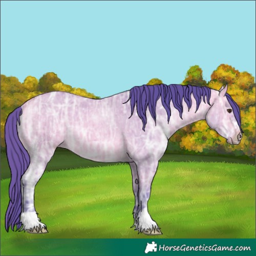 Horse Color:Watercolor Buckskin Ice Dun 