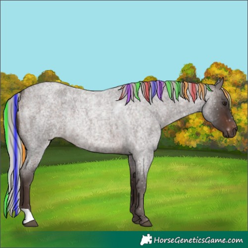 Horse Color:Painted Silver Brown Roan