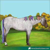 Horse Color:Painted Silver Brown Roan 