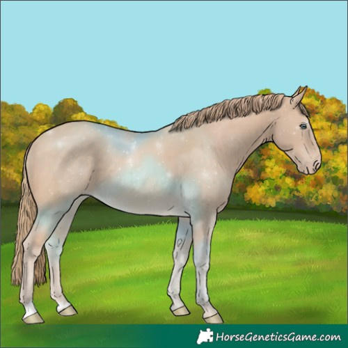 Horse Color:Perlino 