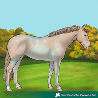 Horse Color:Perlino 