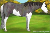 Horse Color:Midnight Bay Ice Roan Splash 