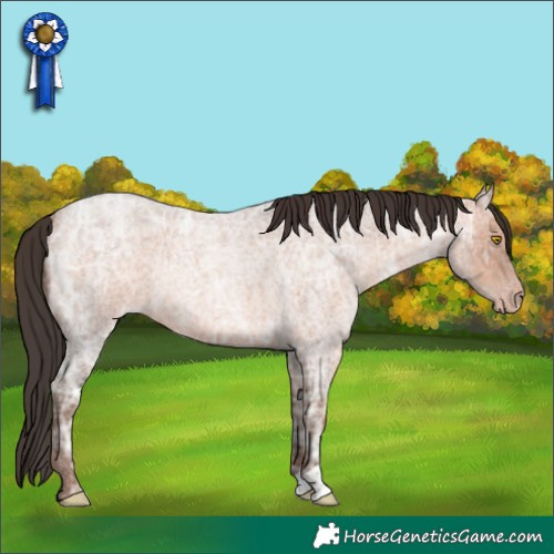 Horse Color:Sable Champagne Ice Roan 