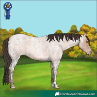 Horse Color:Sable Champagne Ice Roan 