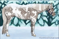 Horse Color:White Spotted Silver Blue Ice Roan 