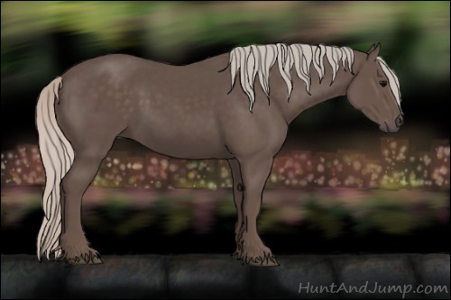 Horse Color:Silver Black 