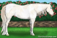 Horse Color:White Spotted Perlino Roan Dun Rabicano