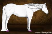 Horse Color:Gray White Spotted Blue Roan
