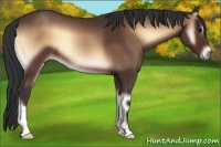 Horse Color:Brown Onyx