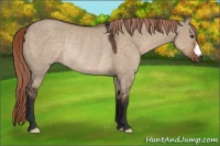 Horse Color:Liver Red Dun Rabicano 