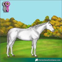 Horse Color:Gray Platinum White Spotted Chocolate Black