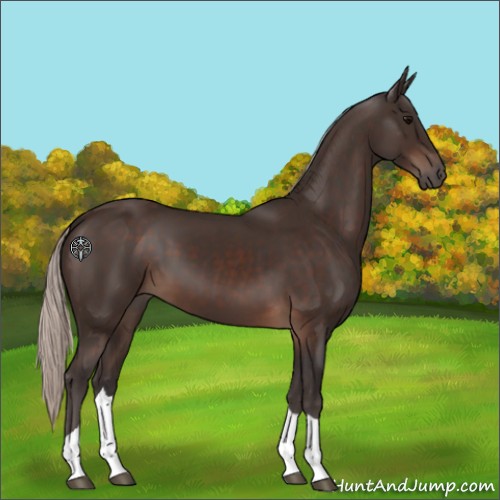Horse Color:Silver Brown Tobiano Rabicano 