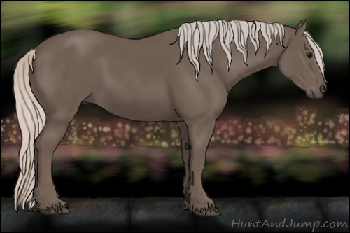 Horse Color:Silver Black 