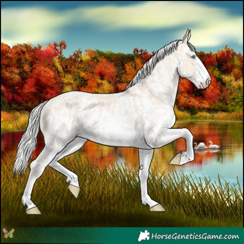 Horse Color:Cremello Sabino  and Cremello Sabino 