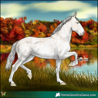Horse Color:Cremello Sabino and Cremello Sabino