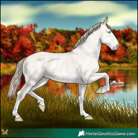 Horse Color:Perlino Dun Sabino  and Perlino Dun Sabino 