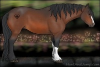 Horse Color:Brown 