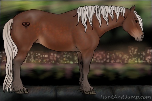 Horse Color:Silver Brown 