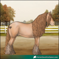 Horse Color:Bay Pearl 