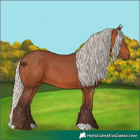 Horse Color:Silver Bay 