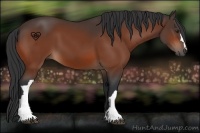 Horse Color:Brown 