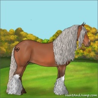 Horse Color:Silver Bay 