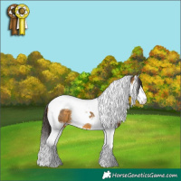 Horse Color:Buckskin Sabino Splash Tobiano 