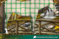 Horse Color:Plaid Sable Champagne Dun