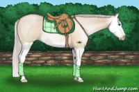 Horse Color:Gray Silver Bay Pearl Dun Splash Rabicano 