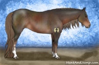Horse Color:Liver Chestnut Sabino 