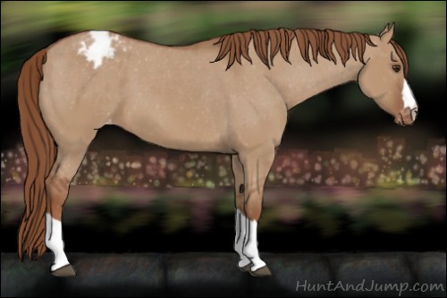 Horse Color:Red Dun Varnish