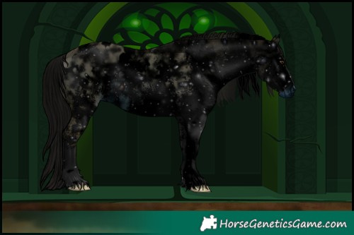 Horse Color:ERROR: UNKNOWN ANOMALY