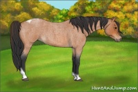 Horse Color:Bay Roan Tobiano 