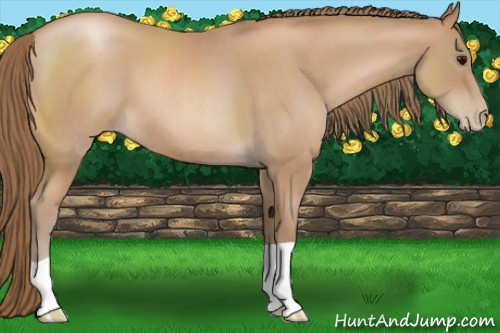 Horse Color:Blue Roan Pearl 