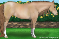 Horse Color:Blue Roan Pearl 