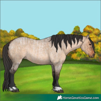 Horse Color:Brown Dun  and Brown Roan Dun 