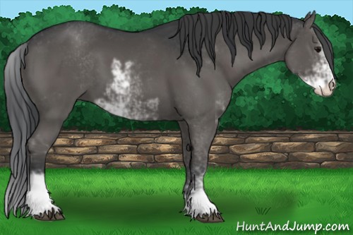 Horse Color:Black Sabino