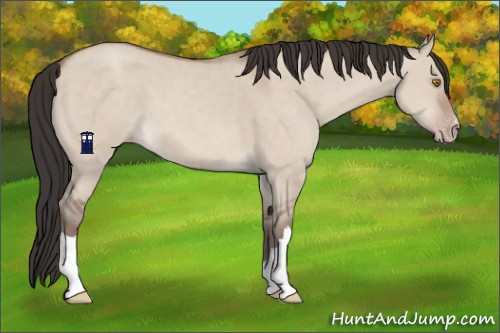 Horse Color:Sable Champagne Dun 