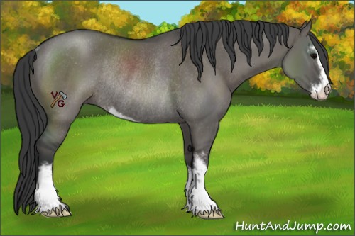 Horse Color:Grullo Sabino Rabicano 