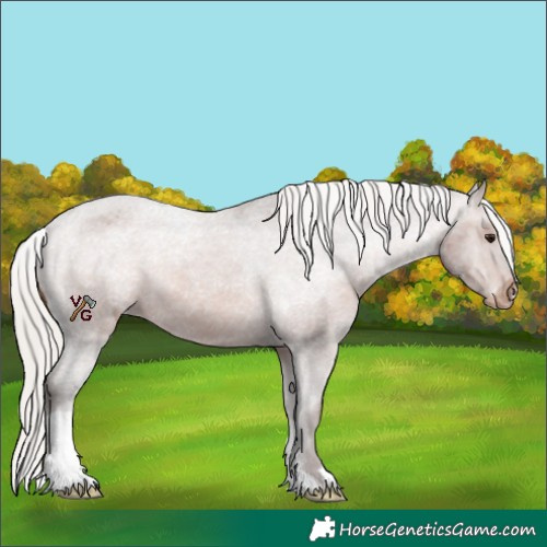 Horse Color:Silver Brown Varnish