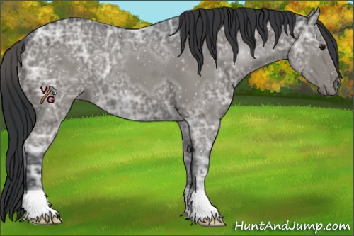 Horse Color:Grullo Ice