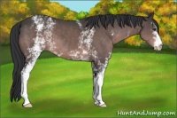 Horse Color:Platinum White Spotted Brown 