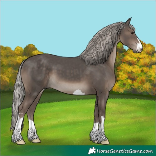 Horse Color:Silver Black 
