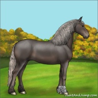 Horse Color:Silver Black 