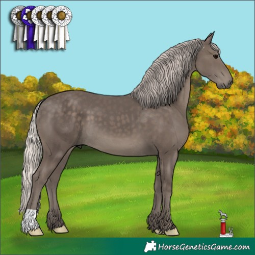 Horse Color:Silver Black 