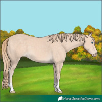 Horse Color:Chocolate Perlino 