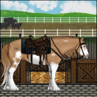 Horse Color:Chestnut Splash Frame 