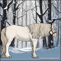 Horse Color:Smoky Creme Dun  and Smoky Creme Dun 