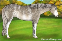 Horse Color:White Spotted Silver Buckskin Dun Mushroom 