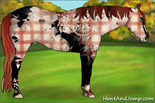 Horse Color:Void Plaid Smoky Black Pearl Sabino Tobiano Rabicano